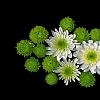 More flowers.